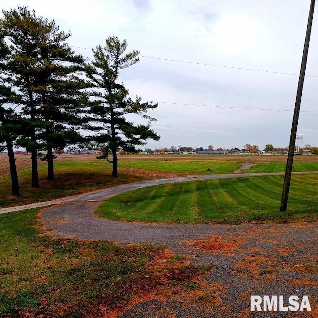 view of home's community with a yard