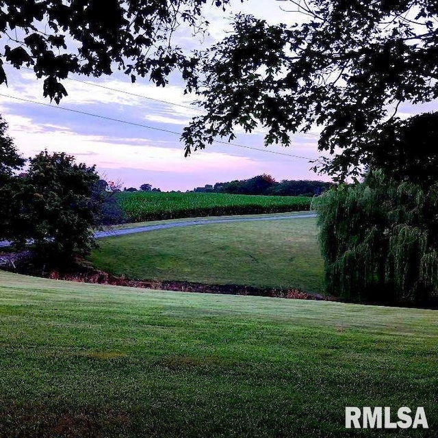 view of property's community with a lawn