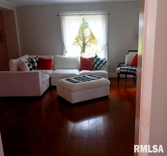 living room featuring dark wood-type flooring