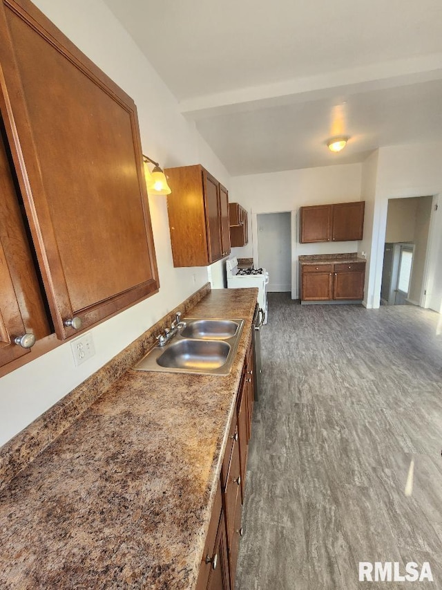 kitchen with sink and dark hardwood / wood-style floors