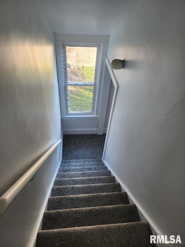 stairway featuring carpet