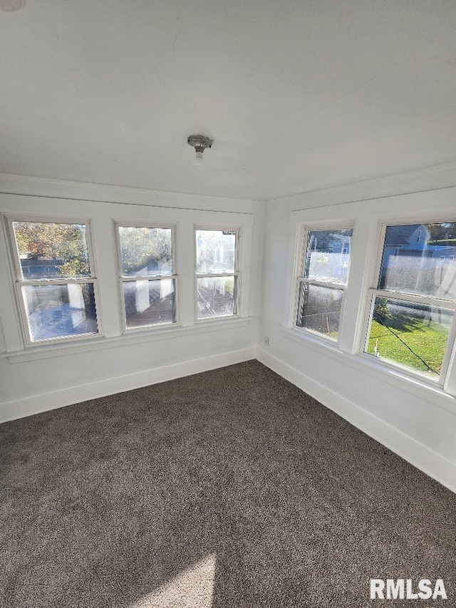 empty room featuring plenty of natural light and carpet flooring