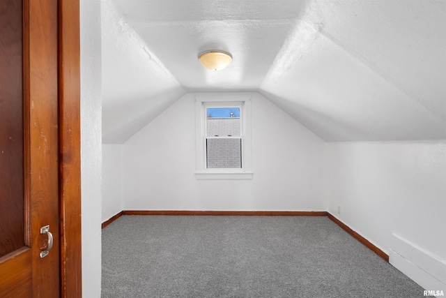 additional living space with carpet floors, a textured ceiling, and vaulted ceiling