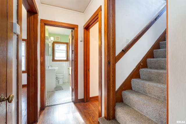 interior space with hardwood / wood-style flooring and crown molding