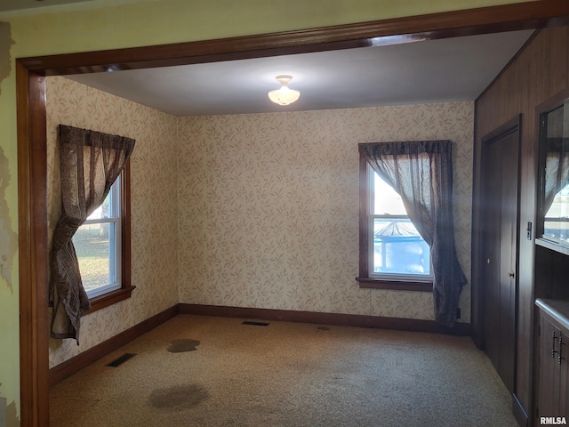 carpeted empty room featuring a wealth of natural light