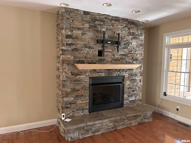 details featuring a stone fireplace and wood-type flooring