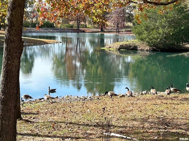 view of water feature