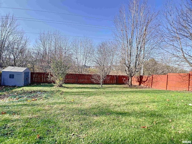 view of yard featuring a storage unit