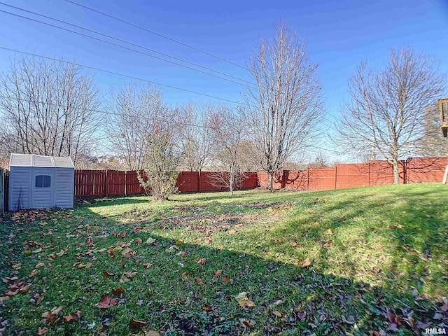 view of yard featuring a storage unit