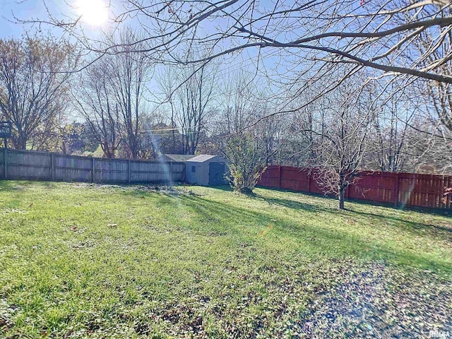 view of yard featuring a storage shed