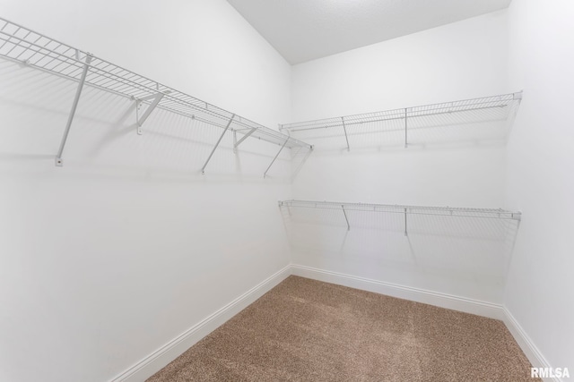 walk in closet with carpet