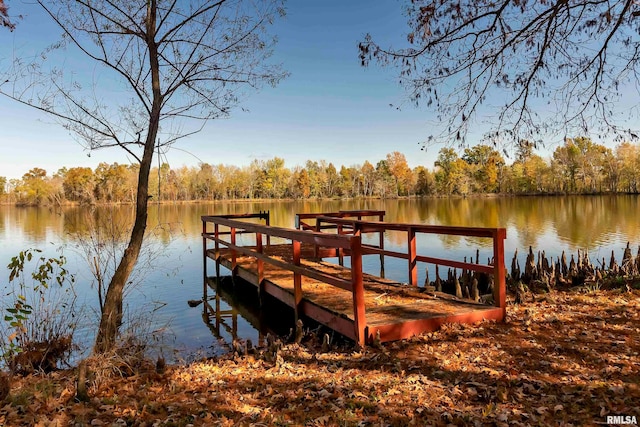 dock area featuring a water view