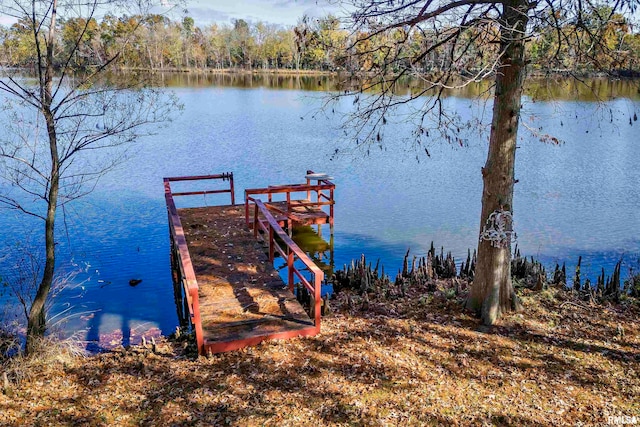 dock area with a water view