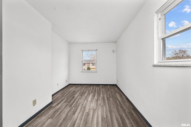 spare room featuring wood-type flooring