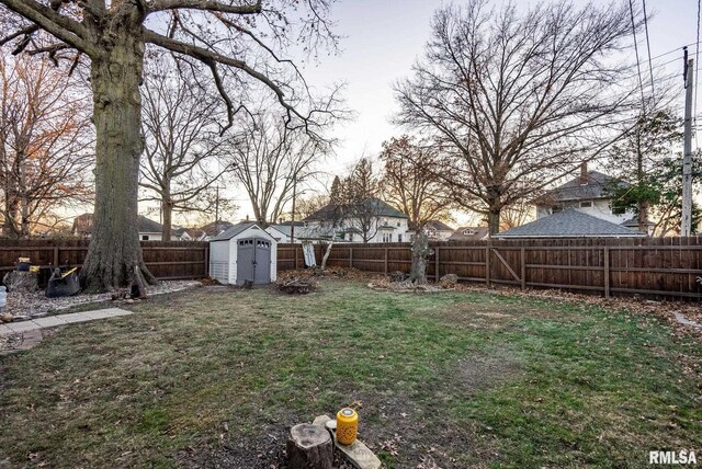 view of yard with a storage unit