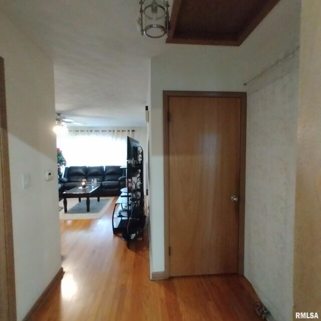 corridor featuring light hardwood / wood-style floors