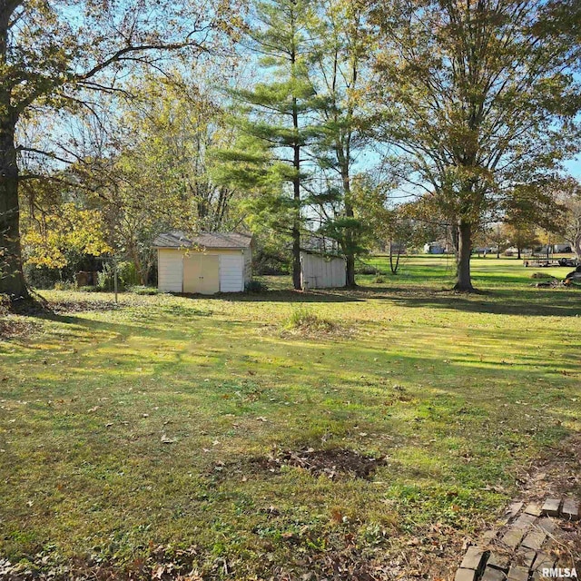 view of yard with a storage shed