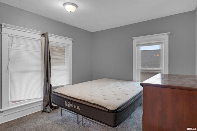 bedroom with carpet flooring