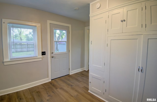 entryway featuring a healthy amount of sunlight and wood-type flooring