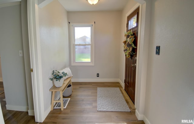 interior space featuring light hardwood / wood-style floors and a wealth of natural light