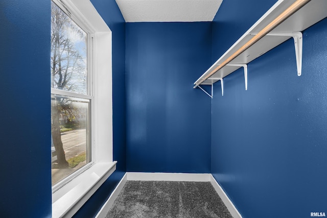 walk in closet featuring carpet floors