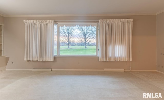 empty room featuring ornamental molding and carpet floors