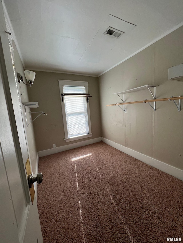 walk in closet featuring carpet