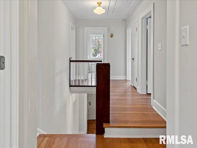 corridor with baseboards and wood finished floors