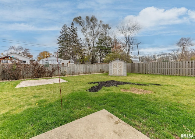 view of yard with a patio area and a storage unit