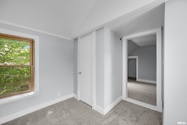 interior space with carpet, vaulted ceiling, and a wealth of natural light