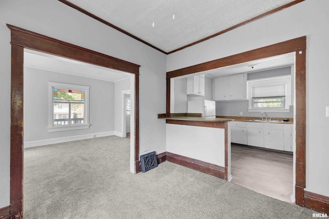 kitchen with white cabinetry, sink, carpet floors, and a textured ceiling