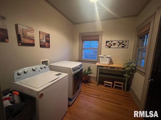 bathroom featuring a shower with door, wood-type flooring, and sink