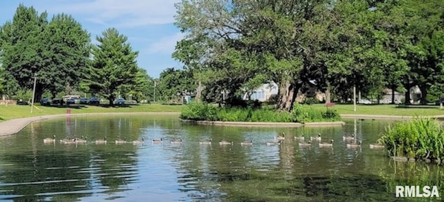 property view of water