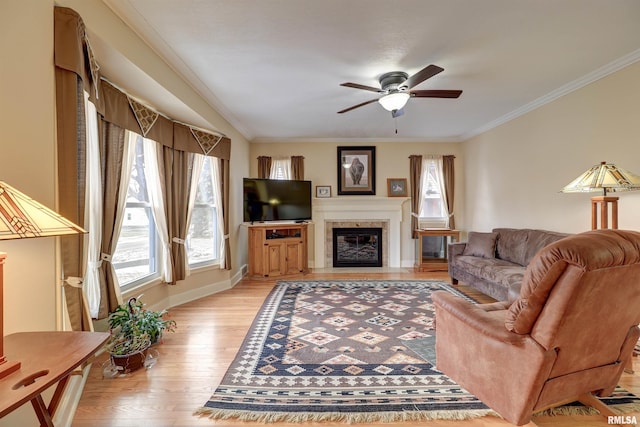 living room with crown molding, a wealth of natural light, ceiling fan, and light wood-type flooring