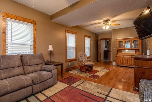 living room with ceiling fan and wood-type flooring