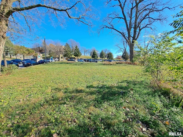 2124 2nd Ave, East Moline, IL 61244 - photo 3
