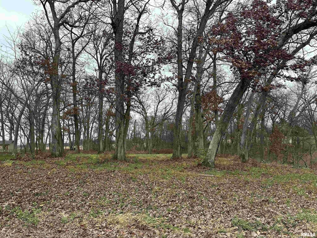 5216 227th St, Court, Port Byron, IL 61275 - photo 1