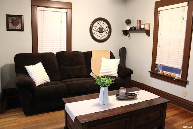 living room with hardwood / wood-style flooring