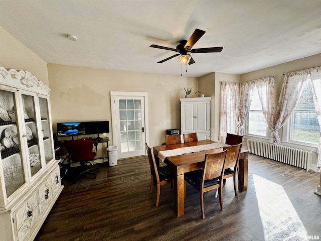 dining room with ceiling fan, dark hardwood / wood-style flooring, and radiator