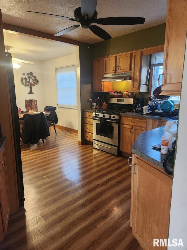 kitchen with dark hardwood / wood-style floors, stainless steel gas range oven, and a healthy amount of sunlight