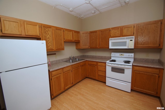 kitchen with light wood-type flooring, white appliances, rail lighting, and sink