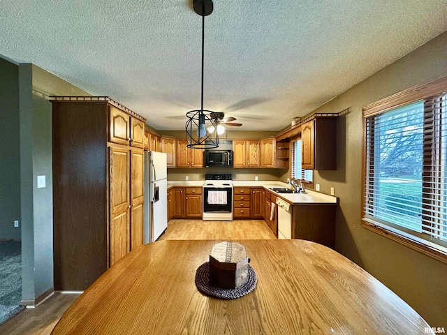 kitchen with pendant lighting, light wood-type flooring, white appliances, and sink