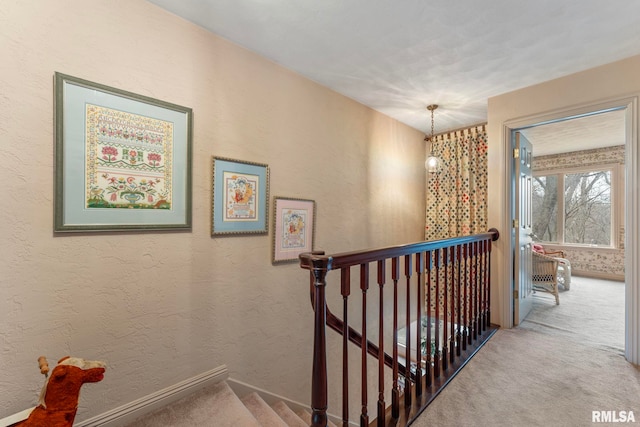 stairway featuring carpet flooring