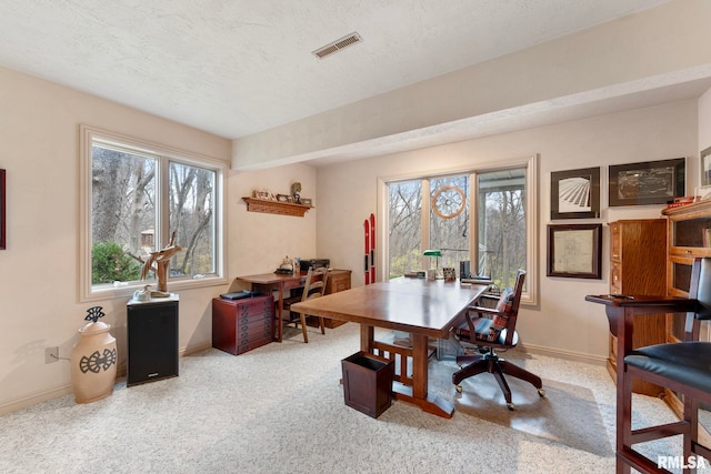 carpeted office space with a healthy amount of sunlight and a textured ceiling