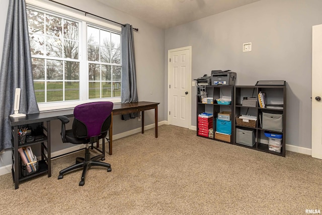 office featuring carpet