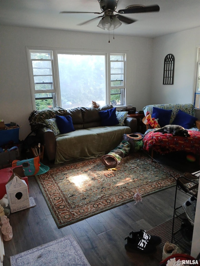 living room with ceiling fan and wood-type flooring