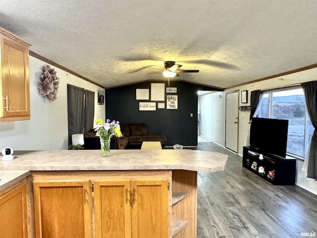 kitchen featuring lofted ceiling, crown molding, ceiling fan, light wood-type flooring, and a textured ceiling