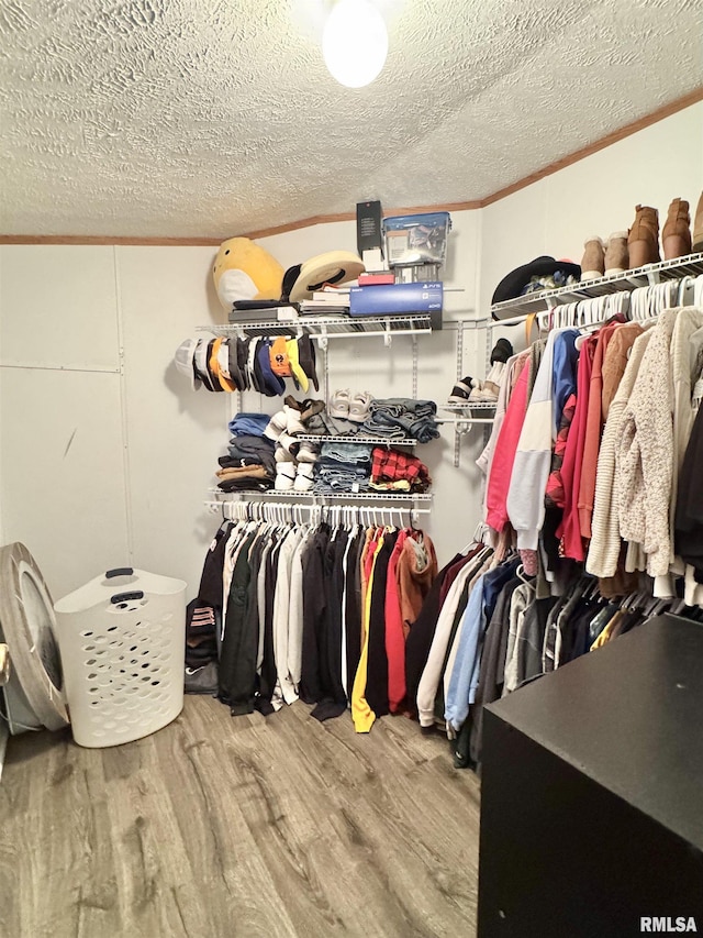 walk in closet with hardwood / wood-style floors