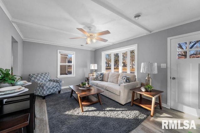 living room with ceiling fan, crown molding, and hardwood / wood-style floors