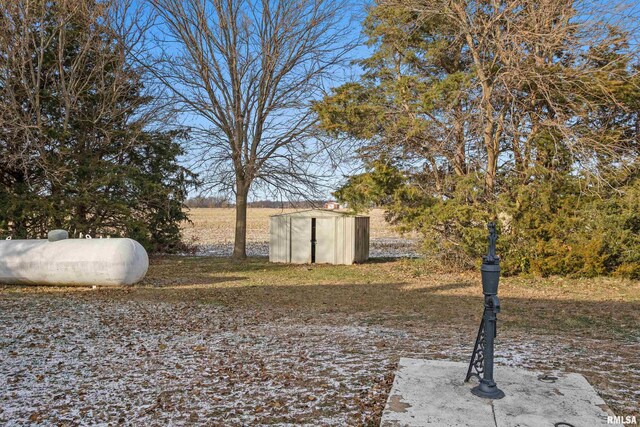 view of yard featuring a shed